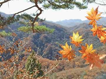 承重柱加固還能承重嗎（承重柱加固還能承重嗎視頻）