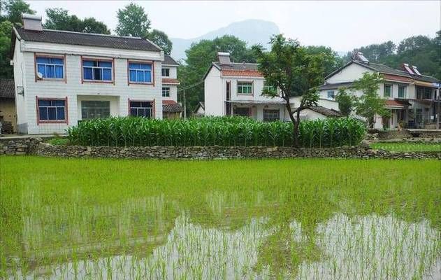 房屋改建加固設計規(guī)范標準 鋼結構玻璃棧道施工 第3張 房屋改建加固設計規(guī)范標準 鋼結構玻璃棧道施工 第3張