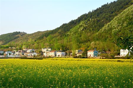 地基沉降是什么意思(地基沉降對建筑安全的影響) 結(jié)構(gòu)電力行業(yè)施工 第3張 地基沉降是什么意思(地基沉降對建筑安全的影響) 結(jié)構(gòu)電力行業(yè)施工 第3張