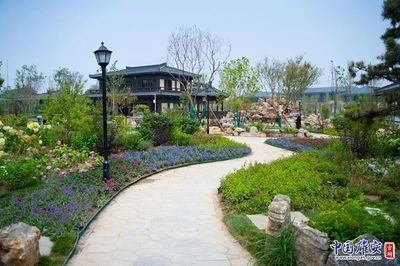 坤越園林（坤越園林綠化工程）