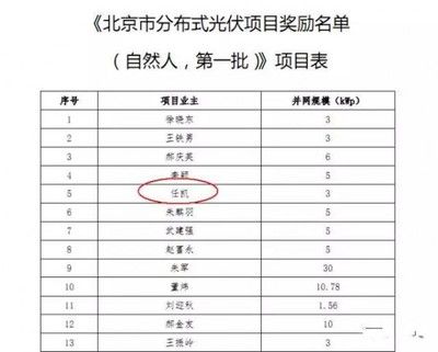 北京市光伏補貼(北京光伏補貼申請材料) 鋼結(jié)構(gòu)網(wǎng)架施工 第5張 北京市光伏補貼(北京光伏補貼申請材料) 鋼結(jié)構(gòu)網(wǎng)架施工 第5張