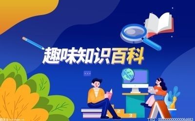 安裝20平方米光伏板多少錢一平方（安裝20平方米光伏板每平方米的價格）