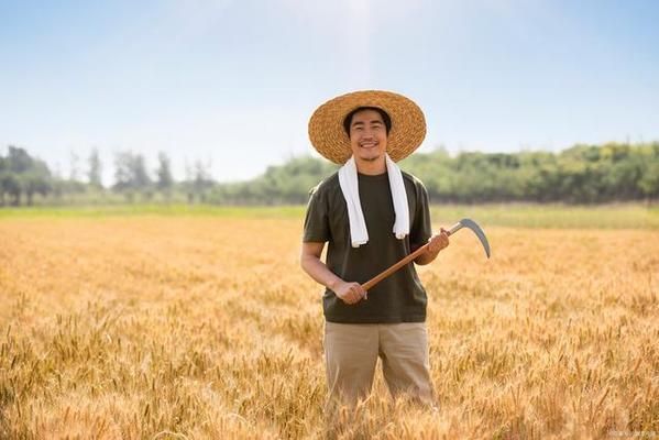 屋頂安裝光伏租賃(光伏租賃合同注意事項) 鋼結(jié)構(gòu)異形設(shè)計 第4張 屋頂安裝光伏租賃(光伏租賃合同注意事項) 鋼結(jié)構(gòu)異形設(shè)計 第4張