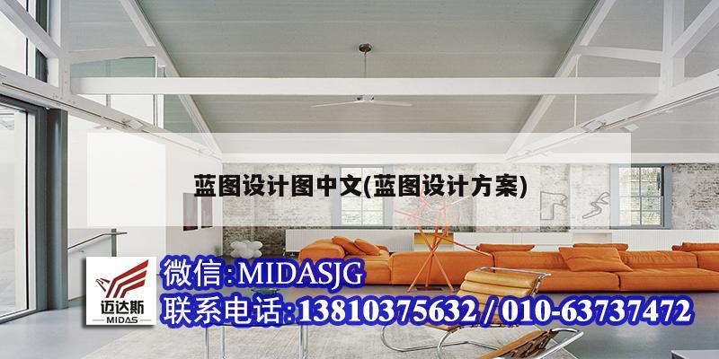藍(lán)圖設(shè)計圖中文(藍(lán)圖設(shè)計方案)