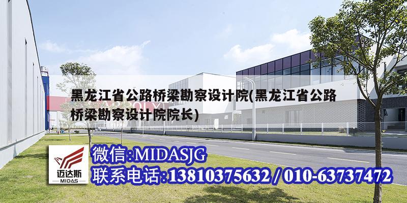 黑龍江省公路橋梁勘察設計院(黑龍江省公路橋梁勘察設計院院長)