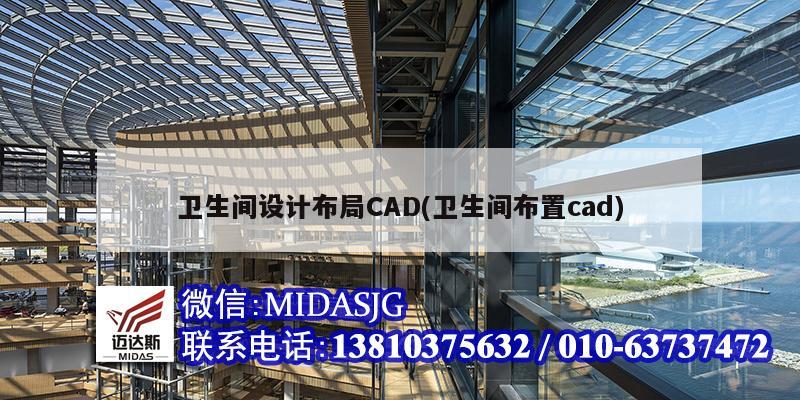 衛(wèi)生間設(shè)計布局CAD(衛(wèi)生間布置cad)